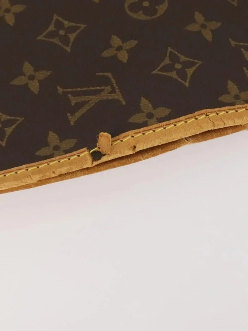 LOUIS VUITTON Monogram Housse Porte Habits Garment Cover M23434 LV Auth am11448A